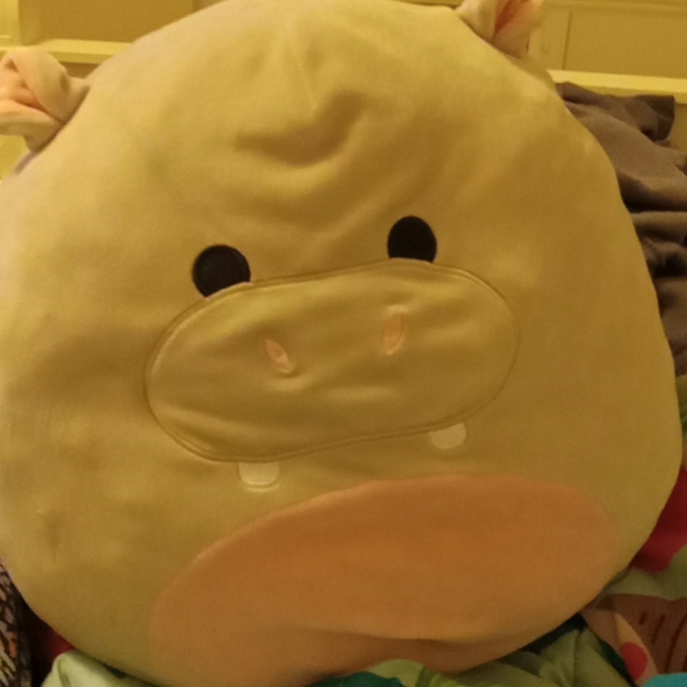 A stuffed animal hippo